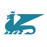 Молодежный парламент Казани