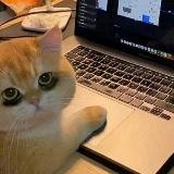 юлечка и безделушки