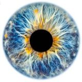 Че по зрению?