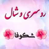 🦋روسری و شال پاکناز🦋