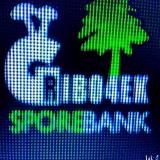 Грибы групп SporeBankGribo4ek