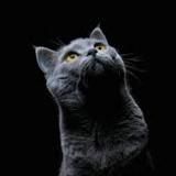 Mail Accces Public Combos