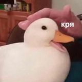 инна, зачем чат?👀