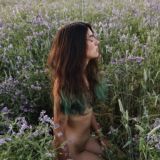 Совиный чат