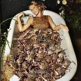 Крабовая барыня