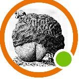 Откровенно|Юмор