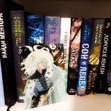 Дания | books are slow poison