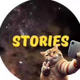 ГОТОВЫЕ СТОРИС