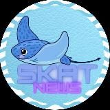 NEW CHANNEL SKAT SHOP