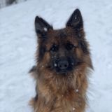 ПЕРЕШЛИ немка жина🐾🤎