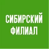 Сибирский филиал Пушкинского музея