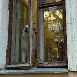Дом Телешова