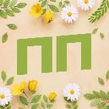 Правдивый Белгород