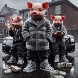 Organized ENT🎬💃🕺👨🏽🍳