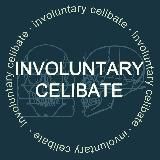 "Первое движение инцелов"