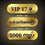 KoDee VIP 17
