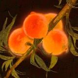 Персиковый источник | Фестиваль 08.11.2025