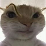 Болтушка 🙂