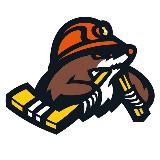 ХК Шахтер-Солигорск