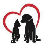 ДОРОГ КАЖДЫЙ | БЛАГОТВОРИТЕЛЬНЫЙ ФОНД (приют Ронда)