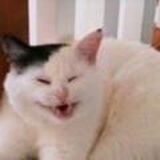 ТОПОРЧАНСКИЙ🔞