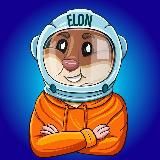 Хом'як Ілон I Крипта I Криптовалюта I BTC I ETH