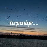 terpeniye__