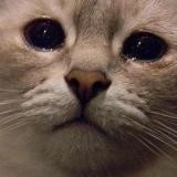 для тех, кто не ебался сексом