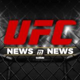 Смешанные единоборства