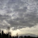 A. MATVEEVA💌 «обсуждение»