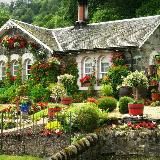 Мой ласковый и нежный друг