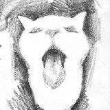 желтокошка