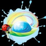 Детский сад «Росинка» с.Сокол