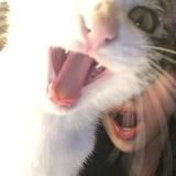 милые пикчи для переписки💓