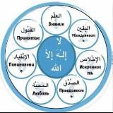 Конспекты для ищущих знания