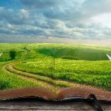 Школа жизни: психология отношений и развития