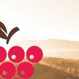 Локально|Натурально. Бизнес по-сибирски. Франшиза «Калина-Малина»