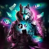 Арбитражный Волк | Деньги через УБТ трафик