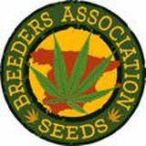B.A.Seeds Official RU