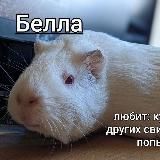 Зернистый творог/SPOT