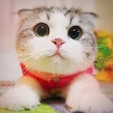 🤩Научу делать деньги Новичку!