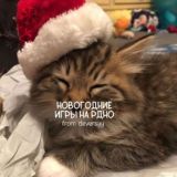 игры на рдно 🏄♀️