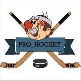 PRO_HOCKEY77