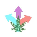 קהילת 👩🏻🌾מגדלים👨🏻🌾