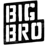 Большой брат