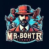 Mr.Bohtr