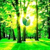 Врач психиатр нарколог. Лечение наркотической зависимости