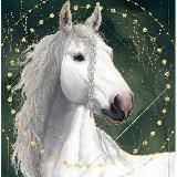 ⚜️.•𝘽𝙚𝙨𝙩 𝙃𝙤𝙧𝙨𝙚•.⚜️