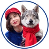 Волк в большом городе