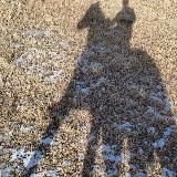 أمة الاستجابه